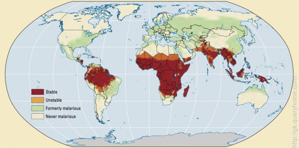 Malaria outbreak world map