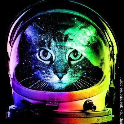 pussy in space