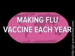 make a flu vaccine if viruses can be different every year