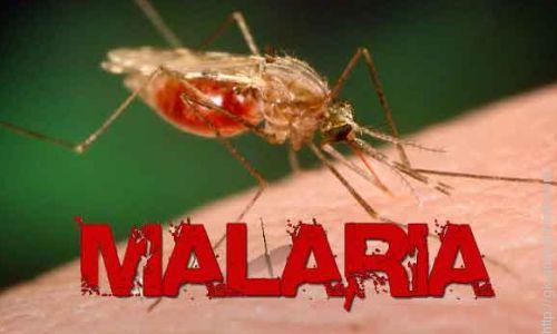 malaria-free country