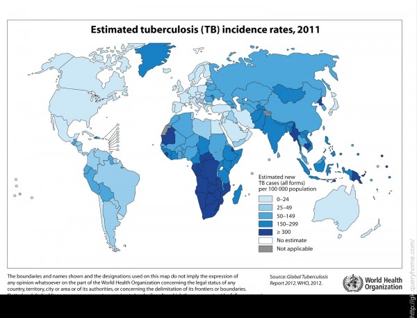 Infection Landscapes: Tuberculosis